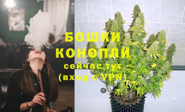 spice Аркадак
