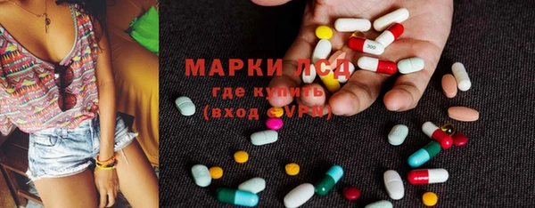 spice Аркадак