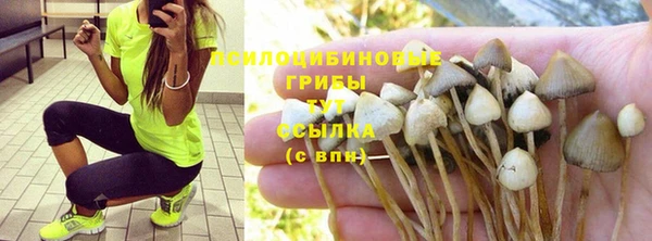 твердый Алексин