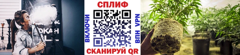 Бошки марихуана White Widow Крым